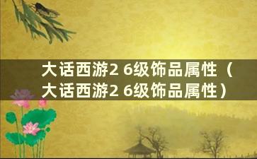 大话西游2 6级饰品属性（大话西游2 6级饰品属性）